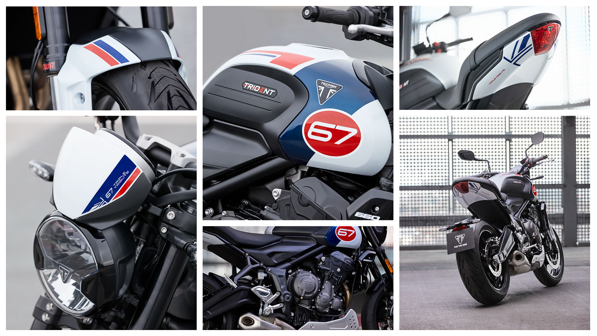 トライアンフ東京ベイ | TRIUMPH